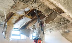 Best Asbestos and Lead Testing During Mold Inspection  in Passaic, NJ